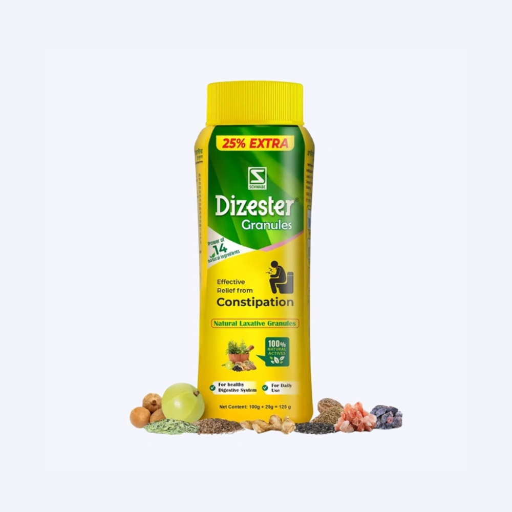 Dr Willmar Schwabe India Dizester Granules (125gm)