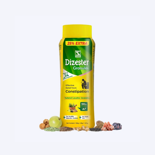 Dr Willmar Schwabe India Dizester Granules (125gm)